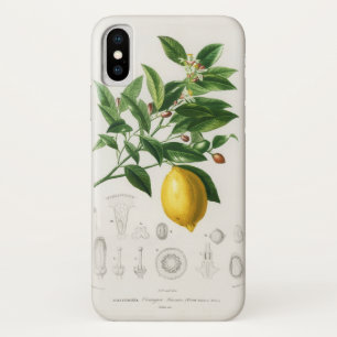 Lemon Citrus Fruit Botanical Limonium Illustration Case-Mate iPhone Case
