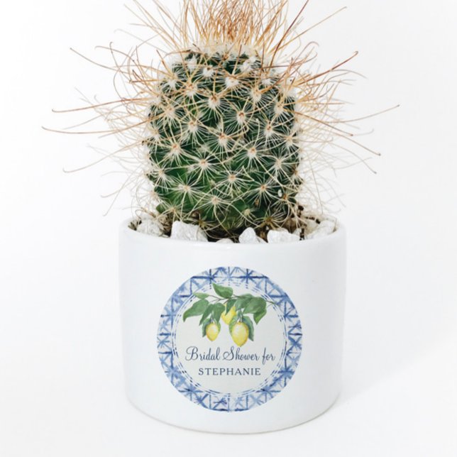 Lemon Citrus w Leaf Foliage Blue n White Pattern Classic Round Sticker (Creator Uploaded)