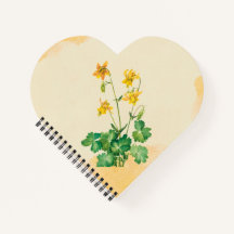 Lemon Columbine Flower