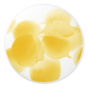lemon dream ceramic knob