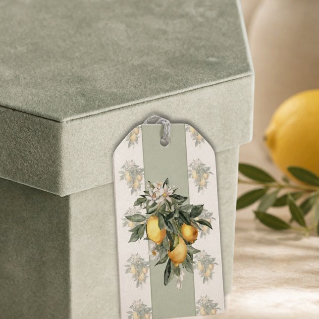 Lemon Fruit Gift Tags (Creator Uploaded)