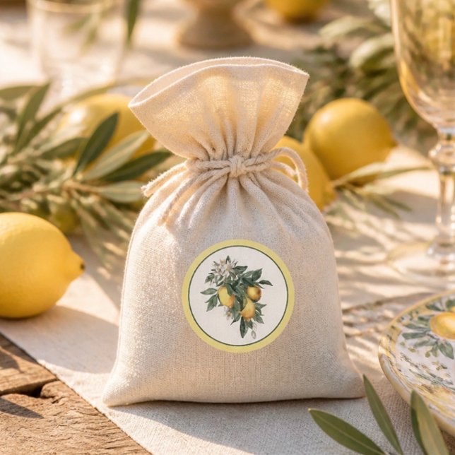Lemon Fruit Round Classic Sticker (Creator Uploaded)