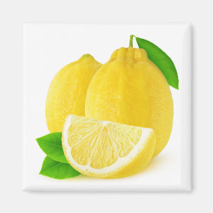 Lemon fruits magnet