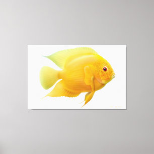 Lemon Gold Severum Cichlid Fish Wrapped Canvas