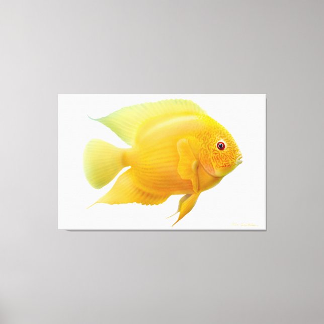 Lemon Gold Severum Cichlid Fish Wrapped Canvas (Front)