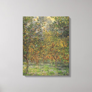Lemon Grove in Bordighera by Claude Monet Canvas Print