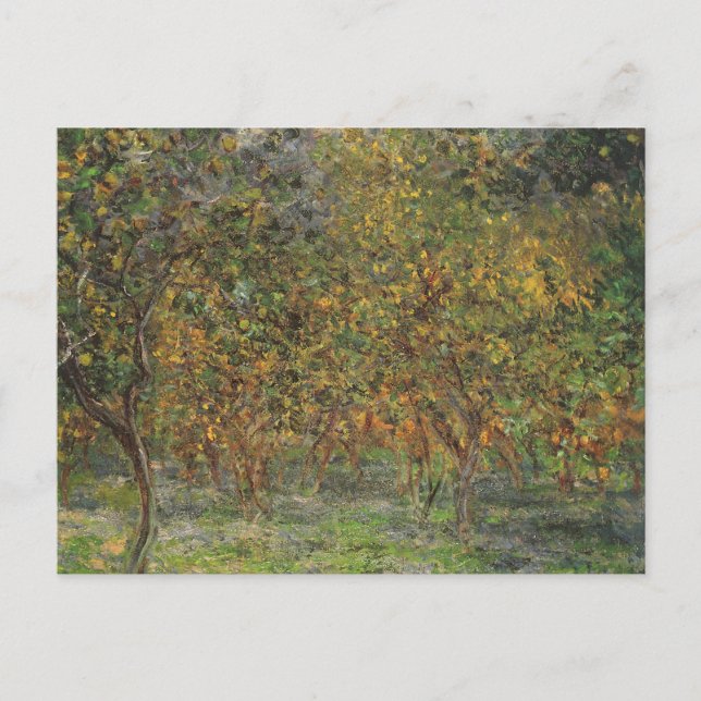 Lemon Grove in Bordighera by Claude Monet Postcard (Front)