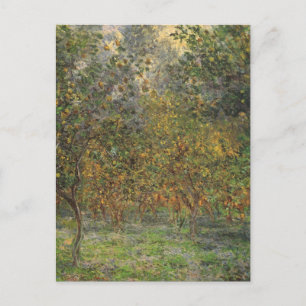 Lemon Grove in Bordighera by Claude Monet Postcard