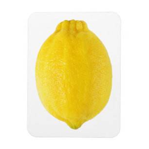 Lemon Magnet
