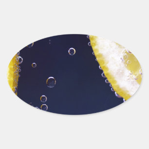 Lemon Oval Sticker