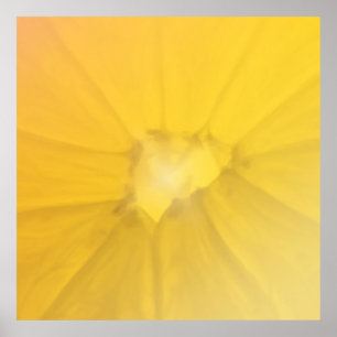 Lemon Section Poster