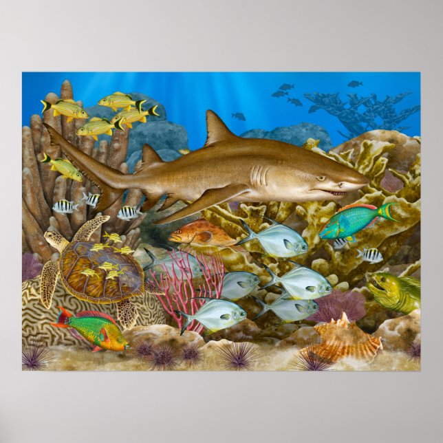 Lemon Shark Over Coral Reef Poster (Front)