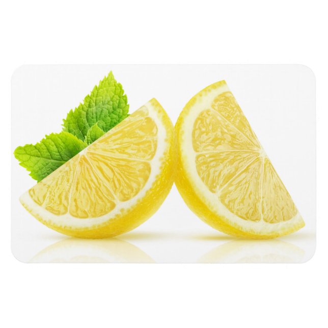 Lemon slices magnet (Horizontal)