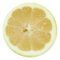 Lemon Stickers