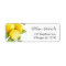 Lemon sweet lemons green yellow
