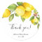 Lemon sweet lemons yellow green summer spring