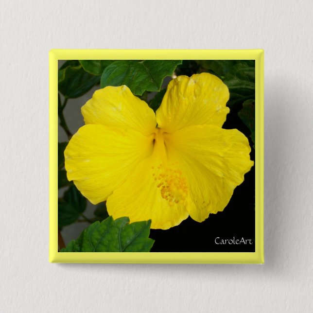 Lemon Yellow Hibiscus 2 Inch Square Button (Front)