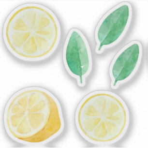 Lemonade yellow lemons slices watercolor set