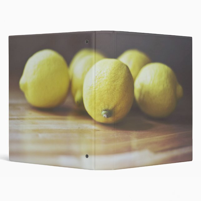 Lemonheads I Binder (Background)