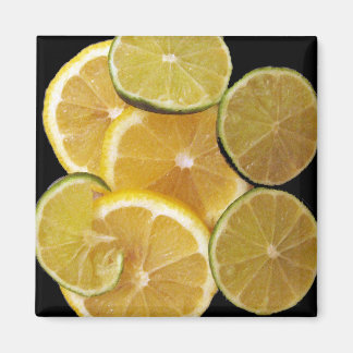 LemonLime Magnet