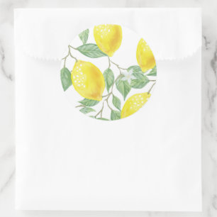 Lemons and Leaves Classic Round Sticker
