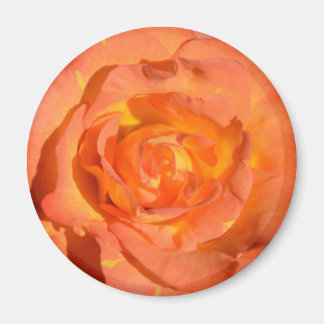 Lemons and Oranges Rose Magnet