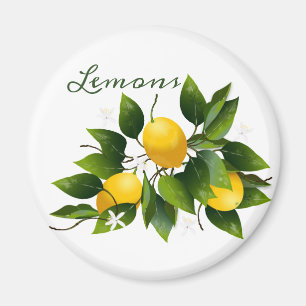 Lemons Citrus Fruit Floral Magnet