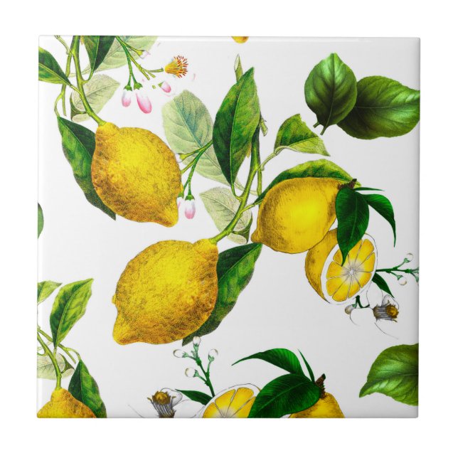Lemons,citrus,mediterranean art    round paper tile (Front)