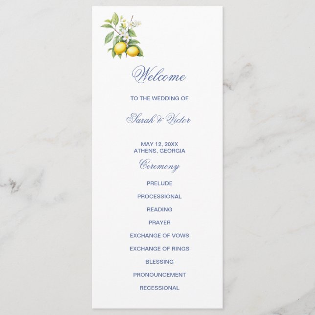 Lemons Double Sided Flat Program (Front)