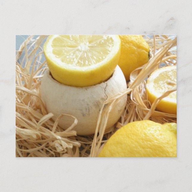 Lemons Postcard (Front)