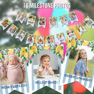 Lemons Stripes Freshly Graduated Milestone Photos Bunting Flags