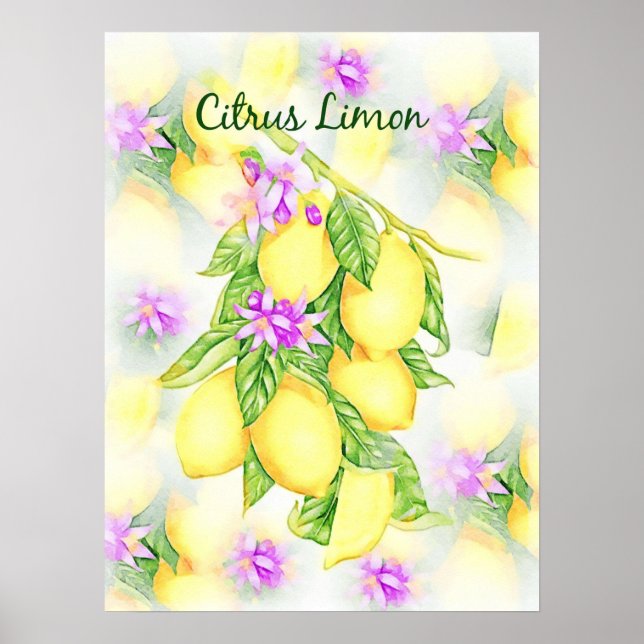 Lemons Watercolor Citrus Limon Fruit Kitchen  Poster (Front)
