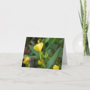 Lemony Card
