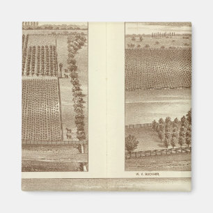 Lemoore ranches magnet