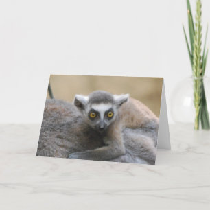 Lemur Baby  Greeting Card