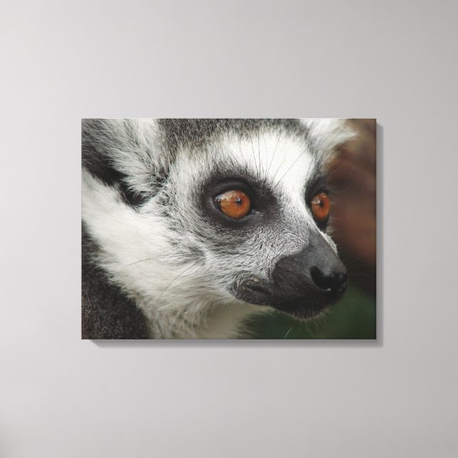Lemur Canvas Print (Front)
