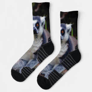 Lemur Crew Socks