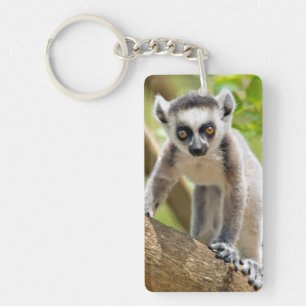 Lemur de bébé