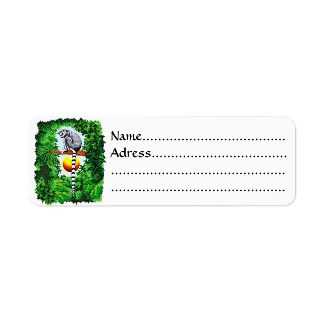 Lémur de Madagascar (Devant)