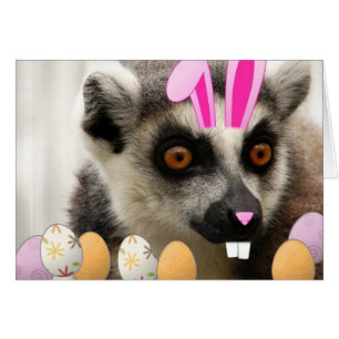 Lemur Easter