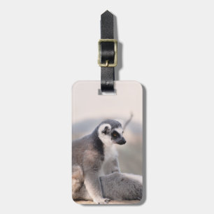 Lemur in Madagascar Luggage Tag