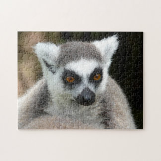 lemur jigsaw puzzle