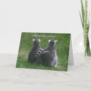 Lemur love,! .. Save the date Announcement