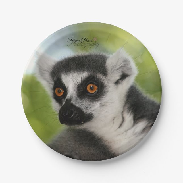 Lemur Paper Plates! Plate (Front)