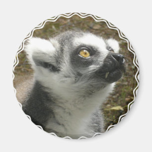 Lemur Photo Magnet