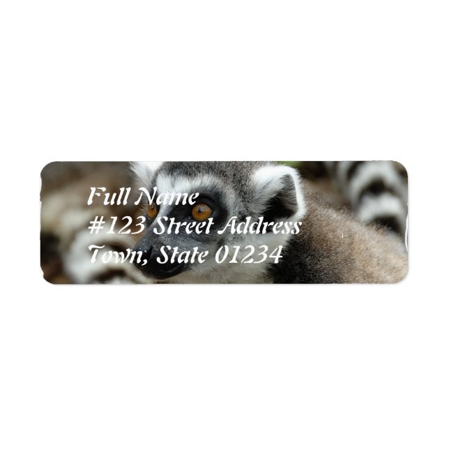 Lemur Return Address Label (Front)