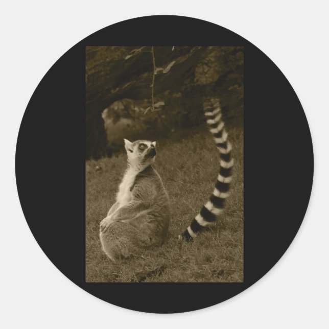 Lemur Tail Valencia Tint Vertical Sticker  (Front)