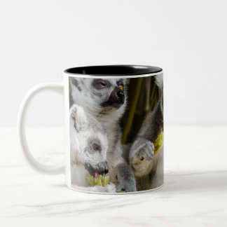 Lemur Two-Tone Coffee Mug
