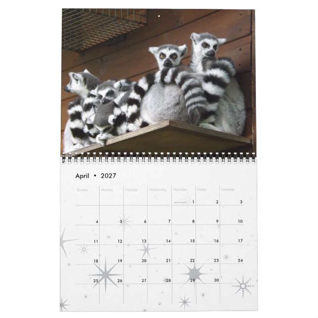 Lemur Wild Primate Welcome Home Destiny Destiny'S Calendar (Apr 2027)
