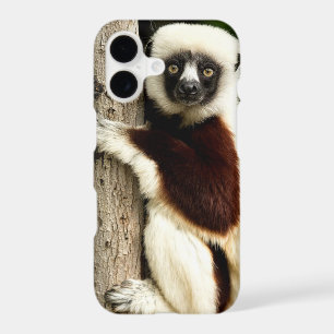 Lémurien Sifaka dans la forêt de Madagascar